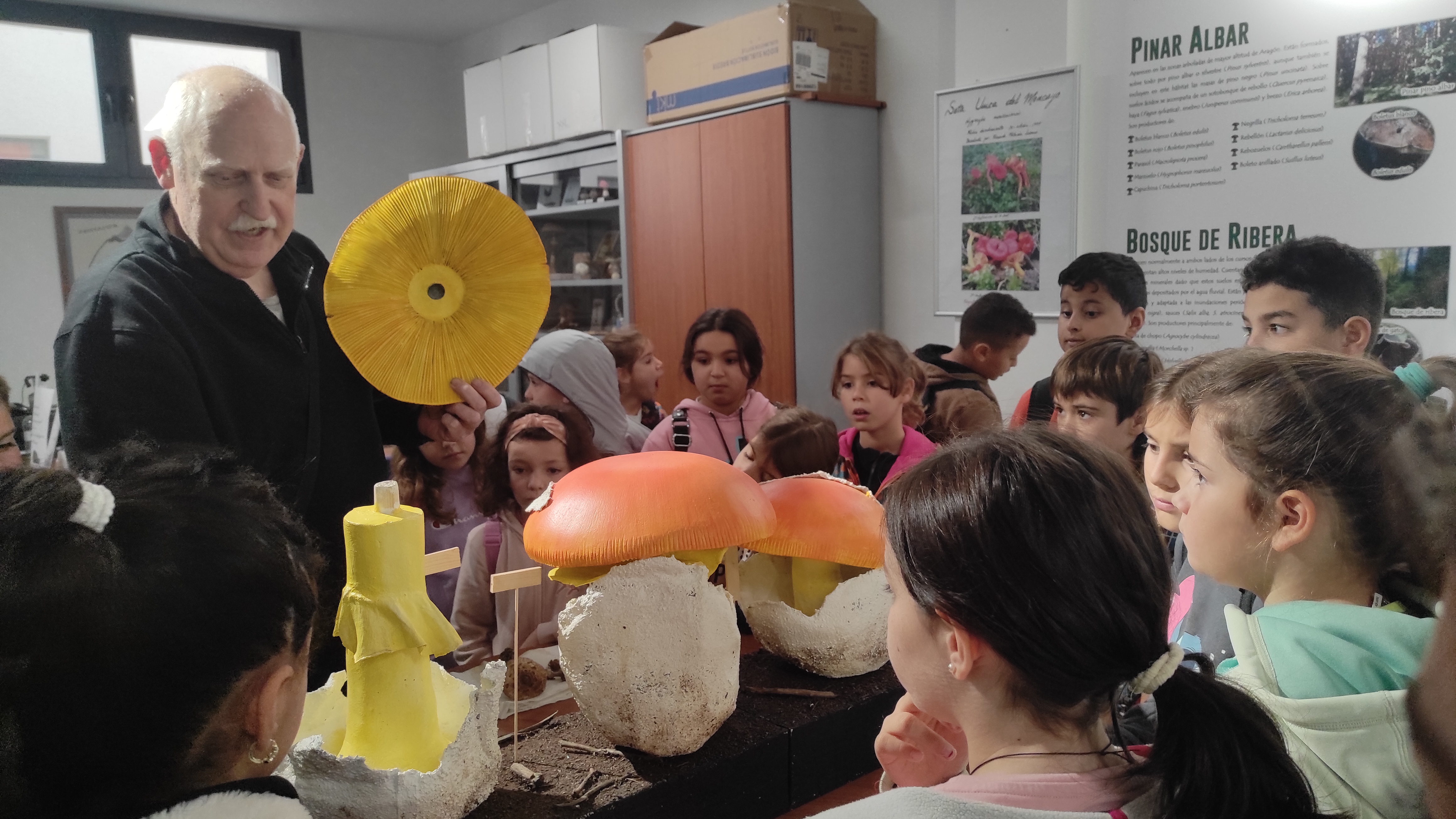 Copia de IMG_20251030_103030.jpg